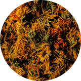 Calendula Flower