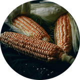 Corn Starch