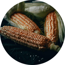 Corn Starch