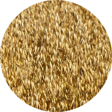 Oatmeal Flower